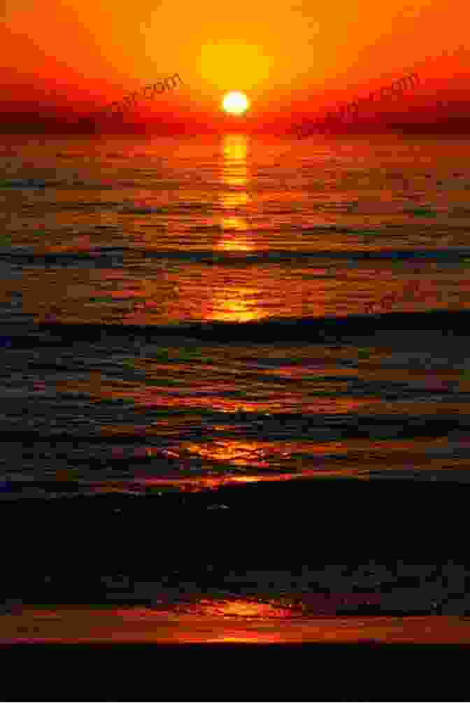 A Beautiful Sunset Over The Ocean I Love Sunsets Michio Kaku