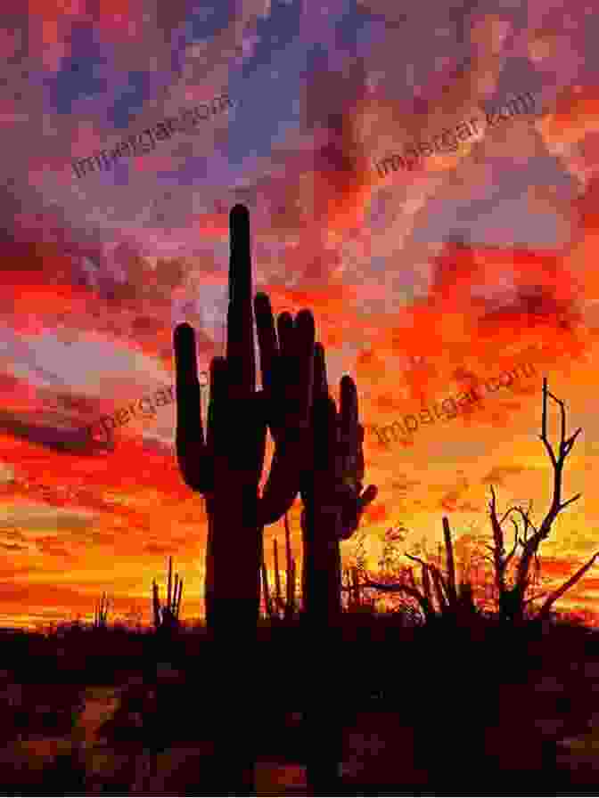 A Breathtaking Sunset Over A Vast Desert Landscape In The American West. 1 017 Randomly Beautiful Moments In The American West: Photography And Haiku