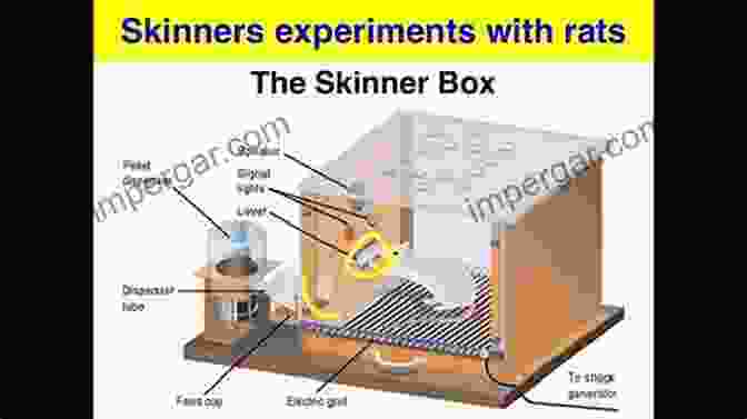 A Depiction Of B.F. Skinner's Operant Conditioning Experiment The Psychology Book: From Shamanism To Cutting Edge Neuroscience 250 Milestones In The History Of Psychology (Sterling Milestones)