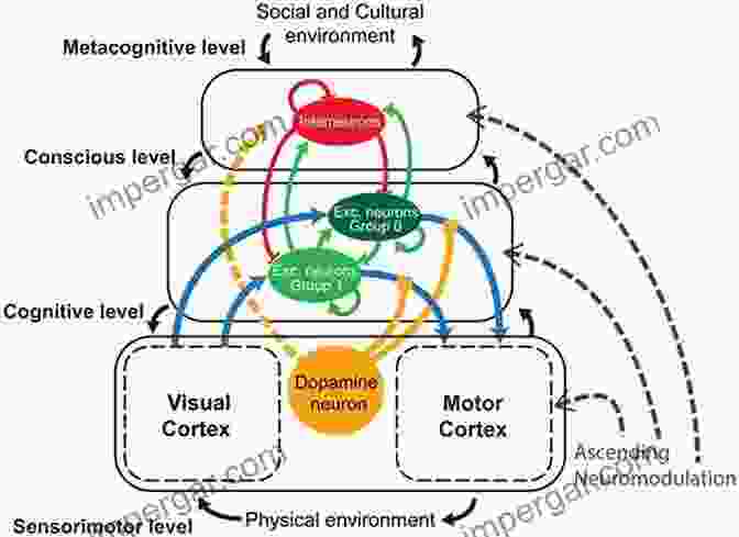 A Diagram Of A Cognitive Model, Representing The Mind As A Network Of Processes The Psychology Book: From Shamanism To Cutting Edge Neuroscience 250 Milestones In The History Of Psychology (Sterling Milestones)