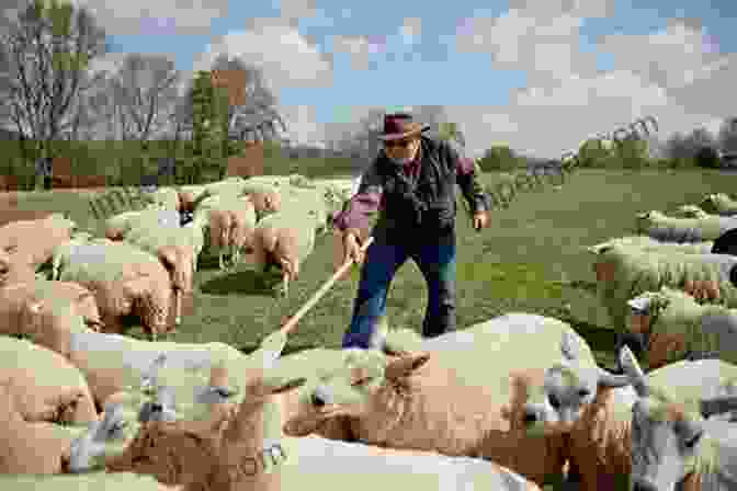 A Farmer Tending To A Herd Of Healthy Sheep Gardening To Attract Birds: Storey S Country Wisdom Bulletin A 205 (Storey Country Wisdom Bulletin)