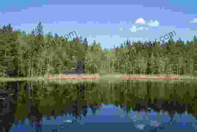 A Panoramic View Of A Serene Finnish Lake, With Rolling Hills And Dense Forests In The Background Not So Barren Or Uncultivated: British Travellers In Finland 1760 1830