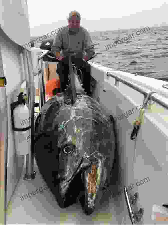 A Photo Of Captain Jake Hawkins Holding Up A Large Tuna Fish On A Fishing Boat Tales Of Fishing Virgin Seas