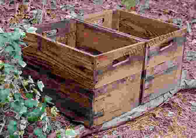 A Serene Orchard With Rows Of Apple Trees And Rustic Wooden Crates Rotten To The Core (An Orchard Mystery 2)