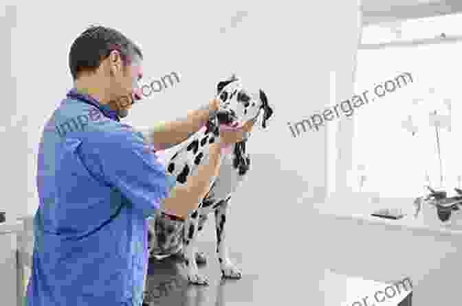 A Veterinarian Examining A Dog's Food Bowl, Representing The Importance Of Informed Feeding Decisions Feeding Smart With The Science Dog