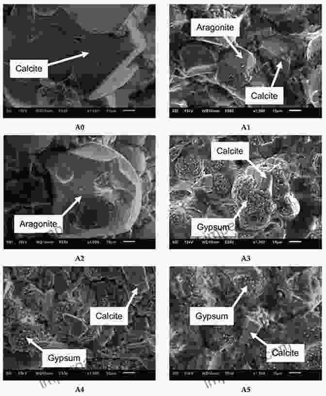 Advanced Characterization Of Minerals Using Microscopy Metal Matrix Composites: Advances In Processing Characterization Performance And Analysis (The Minerals Metals Materials Series)