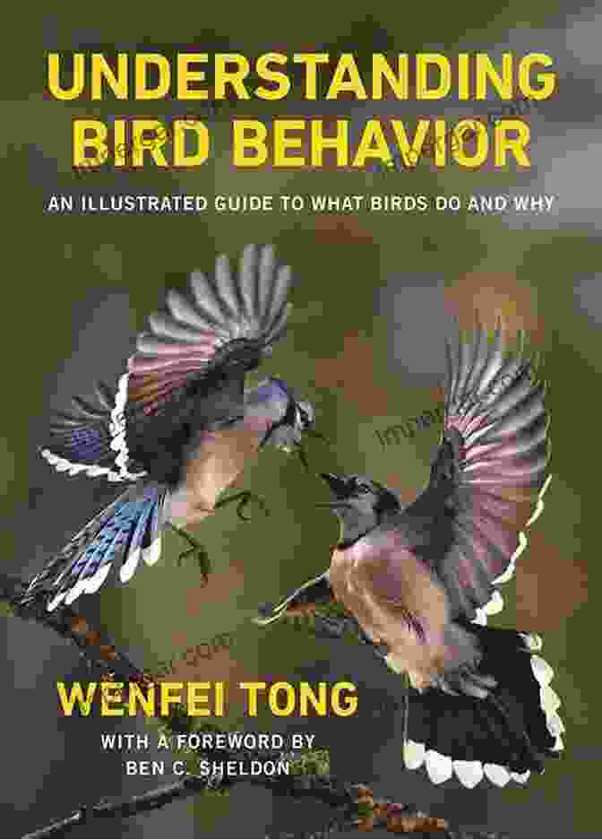 An Illustrated Guide To What Birds Do And Why Book Cover Understanding Bird Behavior: An Illustrated Guide To What Birds Do And Why