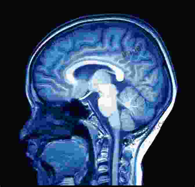 An MRI Scan Of A Human Brain The Psychology Book: From Shamanism To Cutting Edge Neuroscience 250 Milestones In The History Of Psychology (Sterling Milestones)