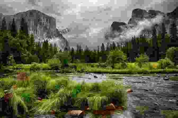 Book Cover For 10,000 Drops Of Joy, Displaying An Idyllic Natural Scene With A Mountain Range And A River Flowing Through A Forest. 10 000 Drops Of Joy: A Haiku Collection