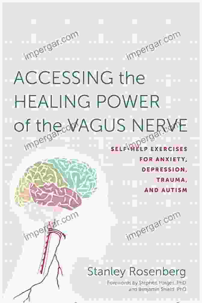 Book Cover Of 'Activate The Healing Power Of Your Vagus Nerve' VAGUS NERVE HEALING: Activate The Healing Power Of Your Vagus Nerve Effective Stimulation Techniques And Self Help Exercises To Shake Off Anxiety Depression Chronic Illness And Inflammations