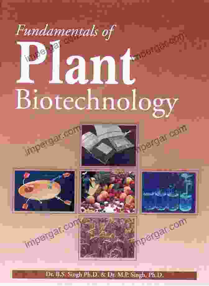 Book Cover Of 'Biotechnology And Plant Pathology' By Teitel Amy Shira Biotechnology And Plant Pathology Teitel Amy Shira