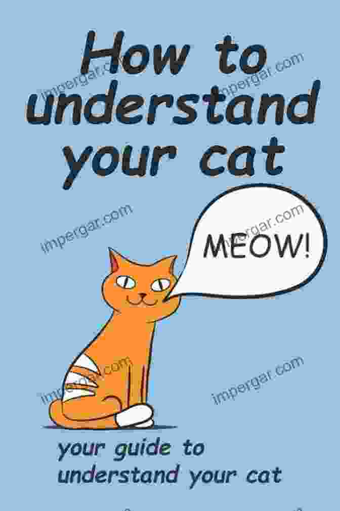 Book Cover Of How To Understand Your Cat The Secret Language Of Cats: How To Understand Your Cat For A Better Happier Relationship