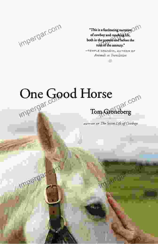 Book Cover Of 'One Good Horse' By Tom Groneberg, Featuring A Young Woman Standing In A Meadow With A Horse One Good Horse Tom Groneberg