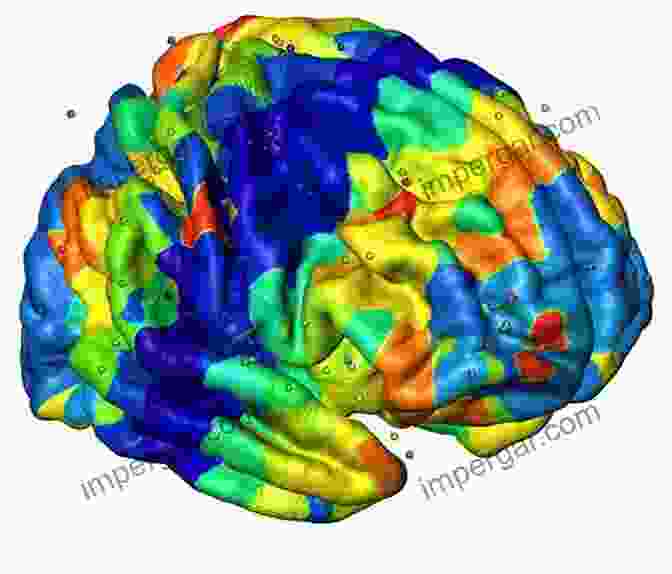 Brain Patterns And Metapatterns Metapatterns: Across Space Time And Mind