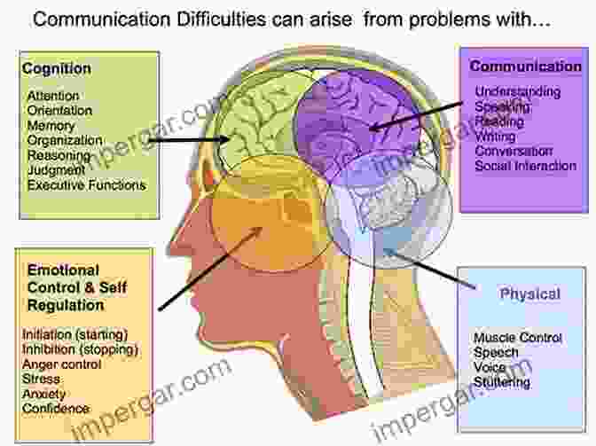 Brain Regions Involved In Communication The Cognitive Neuroscience Of Human Communication