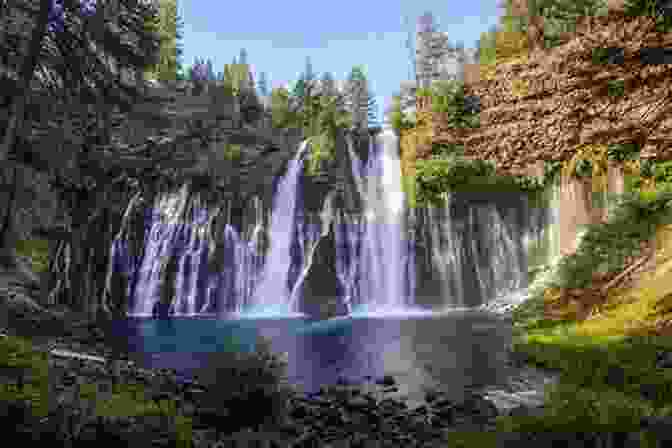 Cascading Waters Of McArthur Burney Falls Big Basin Redwood Forest: California S Oldest State Park (Landmarks)