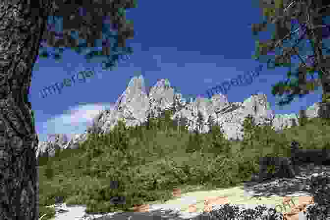 Castle Like Granite Formations At Castle Crags State Park Big Basin Redwood Forest: California S Oldest State Park (Landmarks)