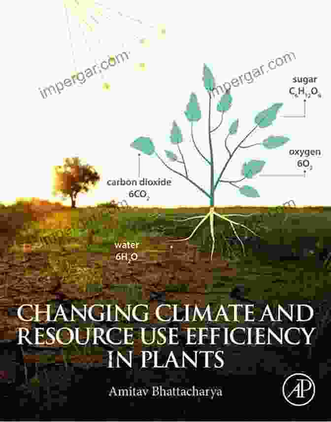 Changing Climate And Resource Use Efficiency In Plants: Unlocking Plant Potential For Sustainable Crop Production Changing Climate And Resource Use Efficiency In Plants