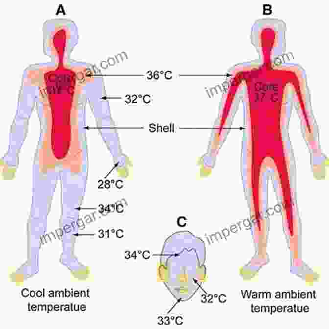 Chart Showing The Effects Of Water Temperature On The Human Body The Science Of Beach Lifeguarding