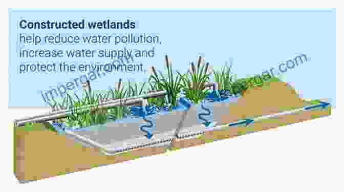 Constructed Wetlands For Industrial Wastewater Treatment, Featuring A Lush Vegetation And Engineered Channels Constructed Wetlands For Industrial Wastewater Treatment (Challenges In Water Management Series)