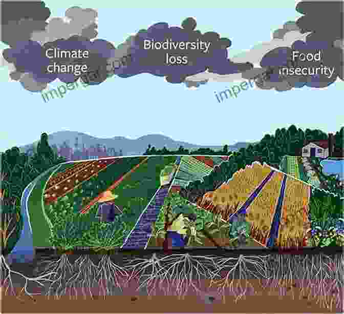 Diverse Crops Grown In An Agroecological System Agroecological Practices For Sustainable Agriculture: Principles Applications And Making The Transition