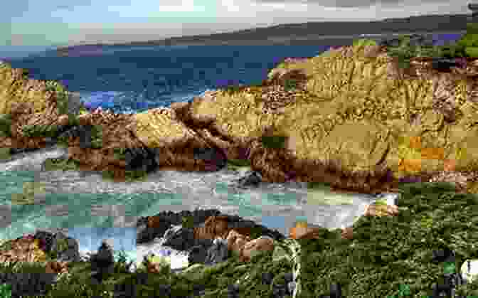 Dramatic Rocky Coastline At Point Lobos State Natural Reserve Big Basin Redwood Forest: California S Oldest State Park (Landmarks)