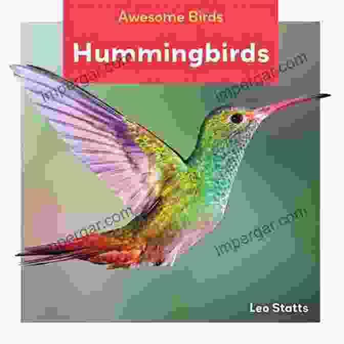 Feathered Fantasies: Birds Book Cover Featuring A Vibrant Hummingbird Animals (AMAZING Series) Vishram Singh