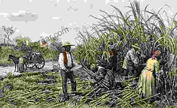 Historical Image Of A Plantation During The Colonial Era, Depicting The Harsh Conditions And Forced Labor Faced By Workers. Plantations Privatization Poverty And Power: Changing Ownership And Management Of State Forests (The Earthscan Forest Library)