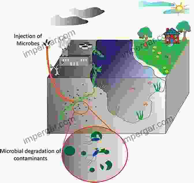 Image Of Organophosphorus Compounds In The Environment Organophosphorus Chemistry: Novel Developments Wallace Stegner