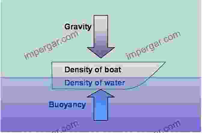 Infographic Explaining Water Density And Buoyancy The Science Of Beach Lifeguarding