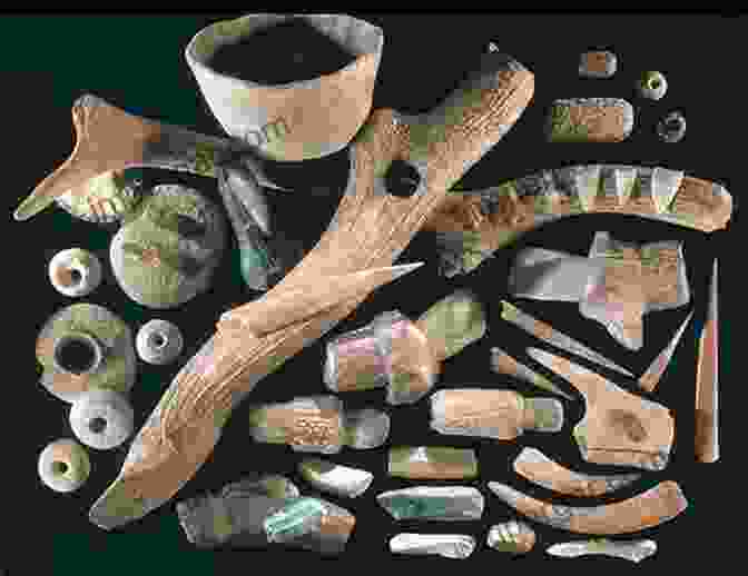 Intriguing Arrangement Of Neolithic Artifacts Associated With Healing Practices, Including Stone Tools, Ceramic Vessels, And Plant Remains, Hinting At The Sophisticated Understanding Of Medicinal And Narcotic Plants During This Period Plants In Neolithic Britain And Beyond (Neolithic Studies Group Seminar Papers 5)