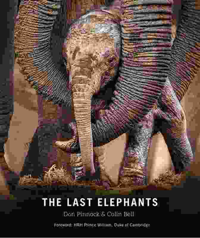 Mammals: The Master Class Book Cover Showing A Family Of Elephants In The African Savanna Animals (AMAZING Series) Vishram Singh