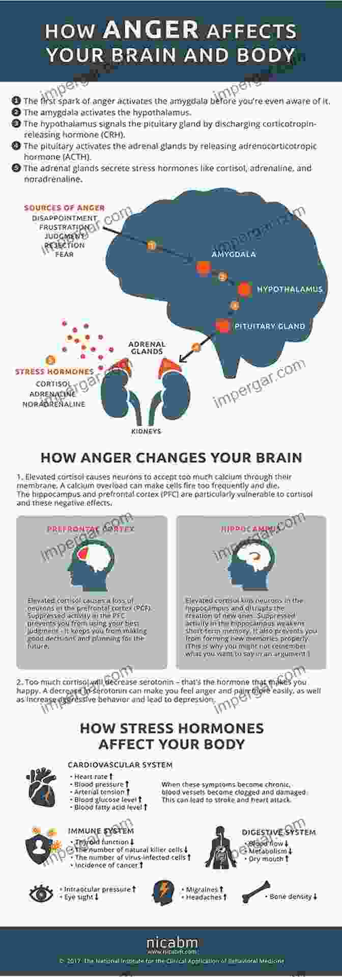 Montage Of Images Depicting The Negative Effects Of Anger, Such As Broken Relationships, Physical Pain, And Mental Distress Beyond Anger: A Guide For Men: How To Free Yourself From The Grip Of Anger And Get More Out Of Life