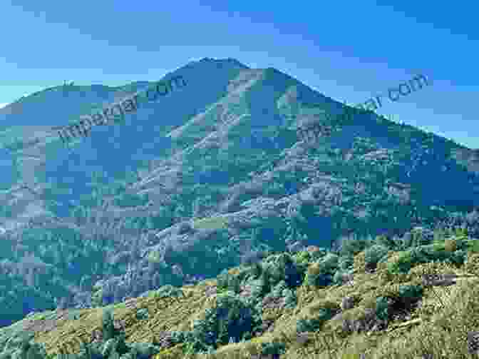 Panoramic View From East Peak At Mount Tamalpais State Park Big Basin Redwood Forest: California S Oldest State Park (Landmarks)