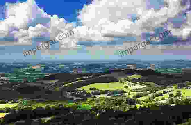 Panoramic View Of The Modern British Landscape, Showcasing The Enduring Legacy Of Neolithic Plant Cultivation, With Fields, Hedgerows, And Woodlands, Highlighting The Profound Impact Of Neolithic Botanical Practices On The Environment And Human Societies Plants In Neolithic Britain And Beyond (Neolithic Studies Group Seminar Papers 5)