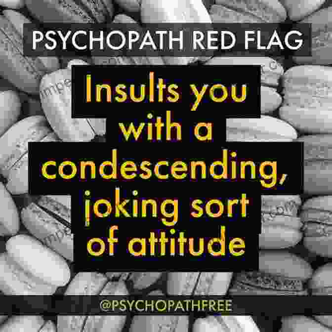 Red Flags Of Psychopathy 202 Ways To Spot A Psychopath In Personal Relationships