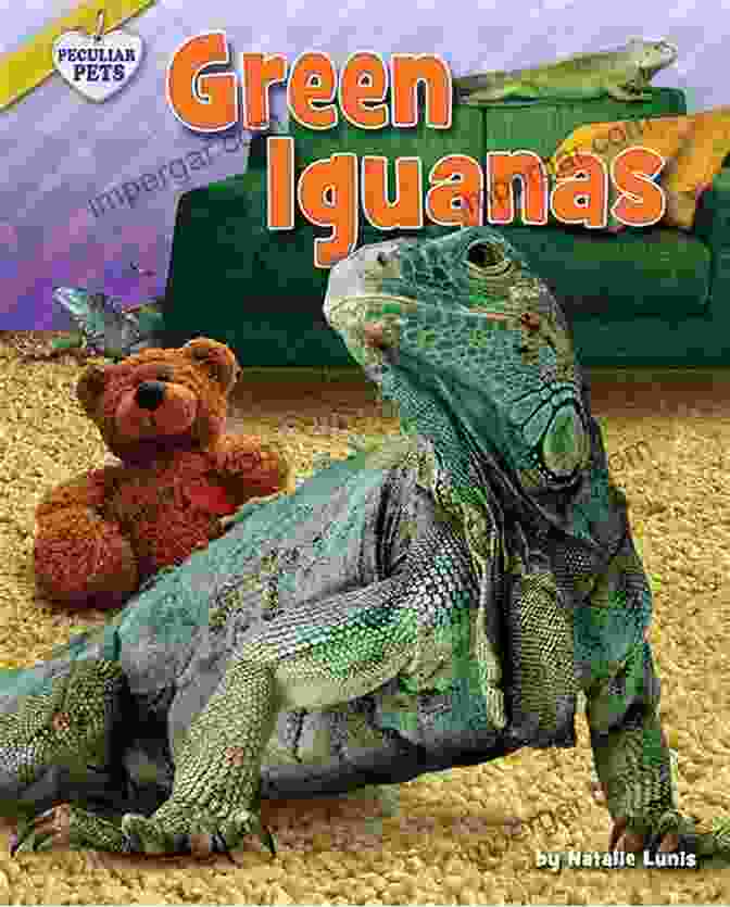 Silent Sentinels: Reptiles Book Cover Depicting A Majestic Green Iguana Animals (AMAZING Series) Vishram Singh