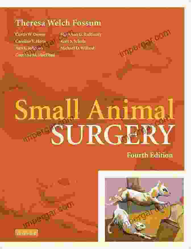 Small Animal Surgery Textbook Cover Small Animal Surgery Textbook E