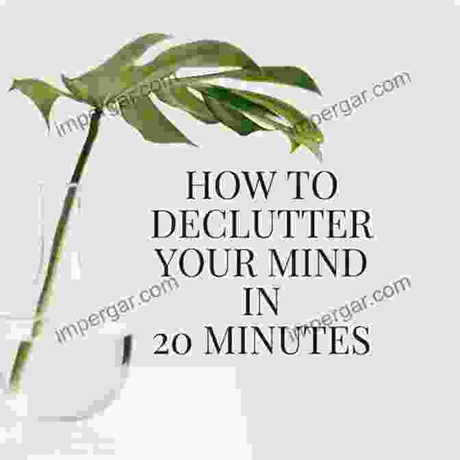 The Ultimate Guide To Declutter Your Mind, Remember Anything, Think Faster, Learn Limitless Brain Training: 2 IN 1: The Ultimate Guide To Declutter Your Mind Remember Anything Think Faster Learn Better With Memory Improvement Techniques Accelerate Learning Mind Hacking