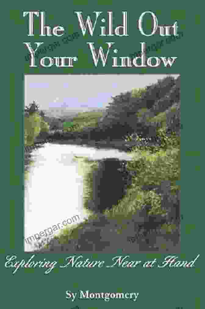 The Wild Out Your Window Book Cover The Wild Out Your Window