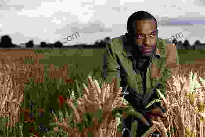 William, A Young African American Man, Stands In A Field, His Gaze Fixed On The Horizon. Remembering Slavery: African Americans Talk About Their Personal Experiences Of Slavery And Emancipation