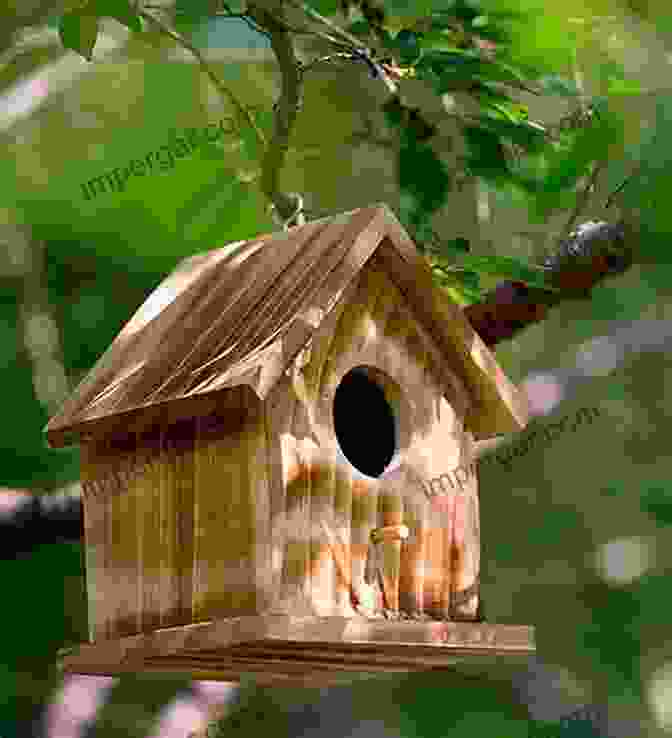 Wooden Birdhouse In A Tree Homesteading Woodworking: 10 Useful And Easy To Make Wooden Facilities For Your Garden