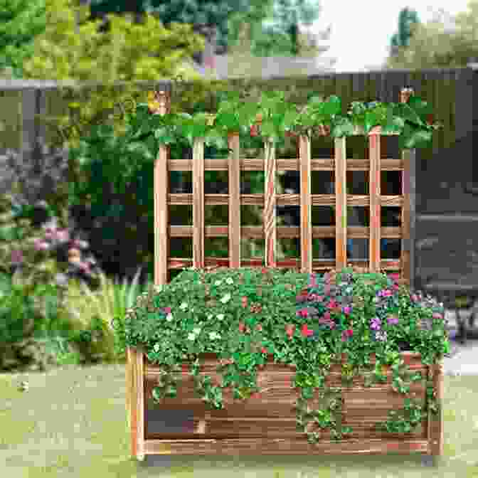 Wooden Trellis Supporting Climbing Plants Homesteading Woodworking: 10 Useful And Easy To Make Wooden Facilities For Your Garden