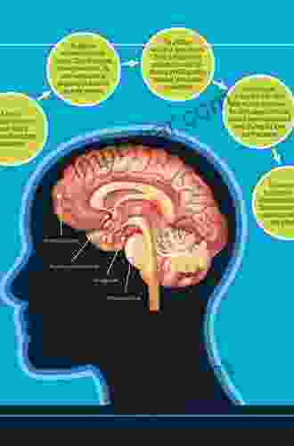 Addiction and the Brain: Knowledge Beliefs and Ethical Considerations from a Social Perspective