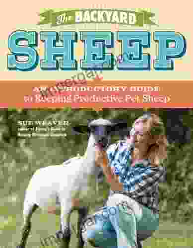 The Backyard Sheep: An Introductory Guide to Keeping Productive Pet Sheep