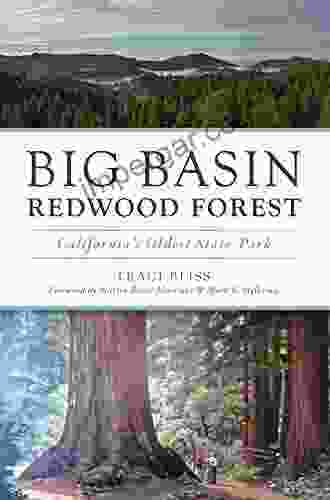 Big Basin Redwood Forest: California S Oldest State Park (Landmarks)