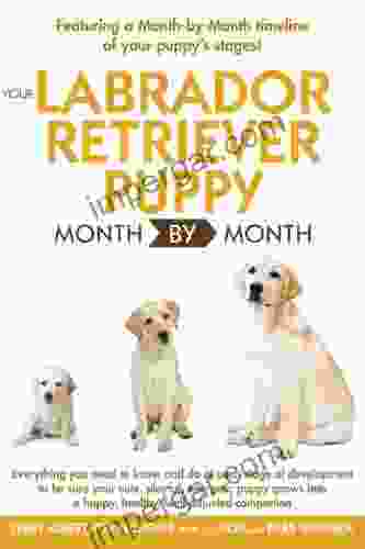 Your Labrador Retriever Puppy Month By Month: Everything You Need to Know at Each Stage of Development (Your Puppy Month by Month)