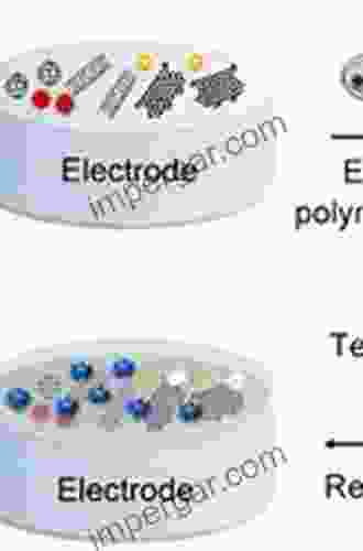 Functionalized Nanomaterial Based Electrochemical Sensors: Principles Fabrication Methods and Applications (Woodhead Publishing in Electronic and Optical Materials)