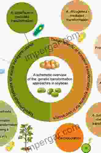 Genetic Transformation Of Plants (Molecular Methods Of Plant Analysis 23)