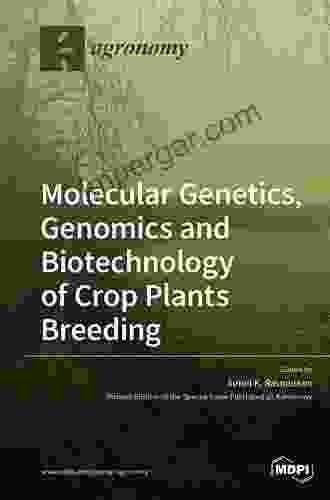 Genetics Genomics and Breeding of Sorghum (Genetics Genomics and Breeding of Crop Plants)